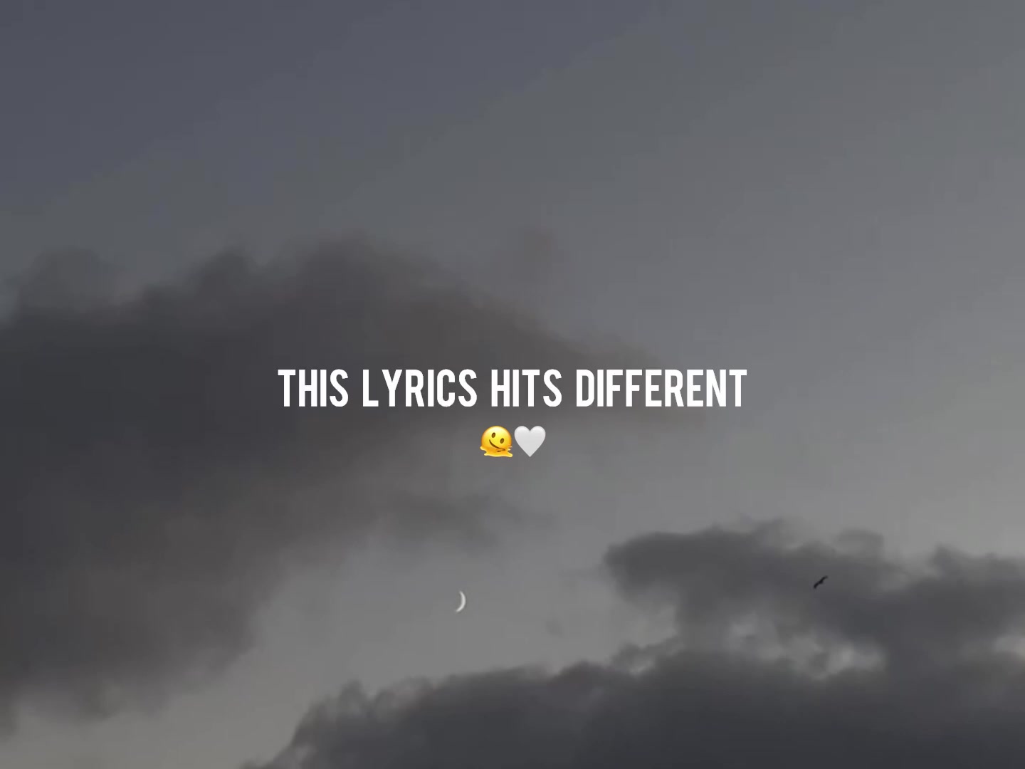 @ʟᴏꜰɪ ᴅʀᴇᴀᴍꜱ
