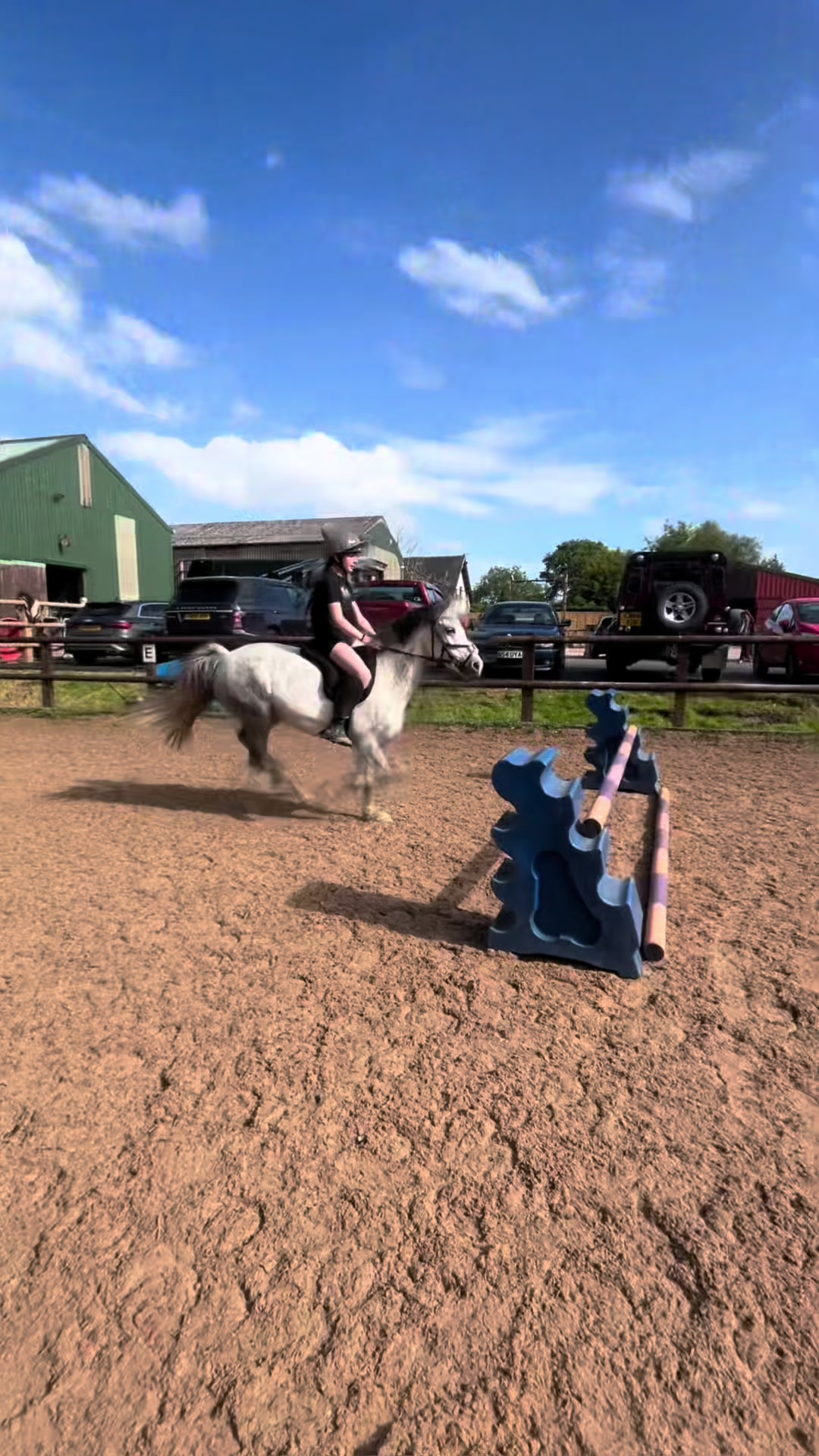@poppy🐴 🇬🇧