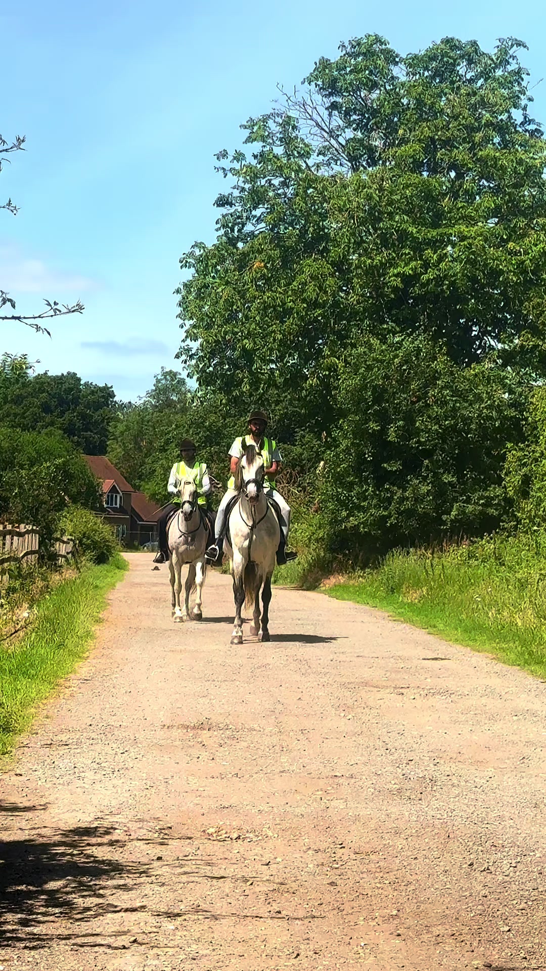 @Slough horses