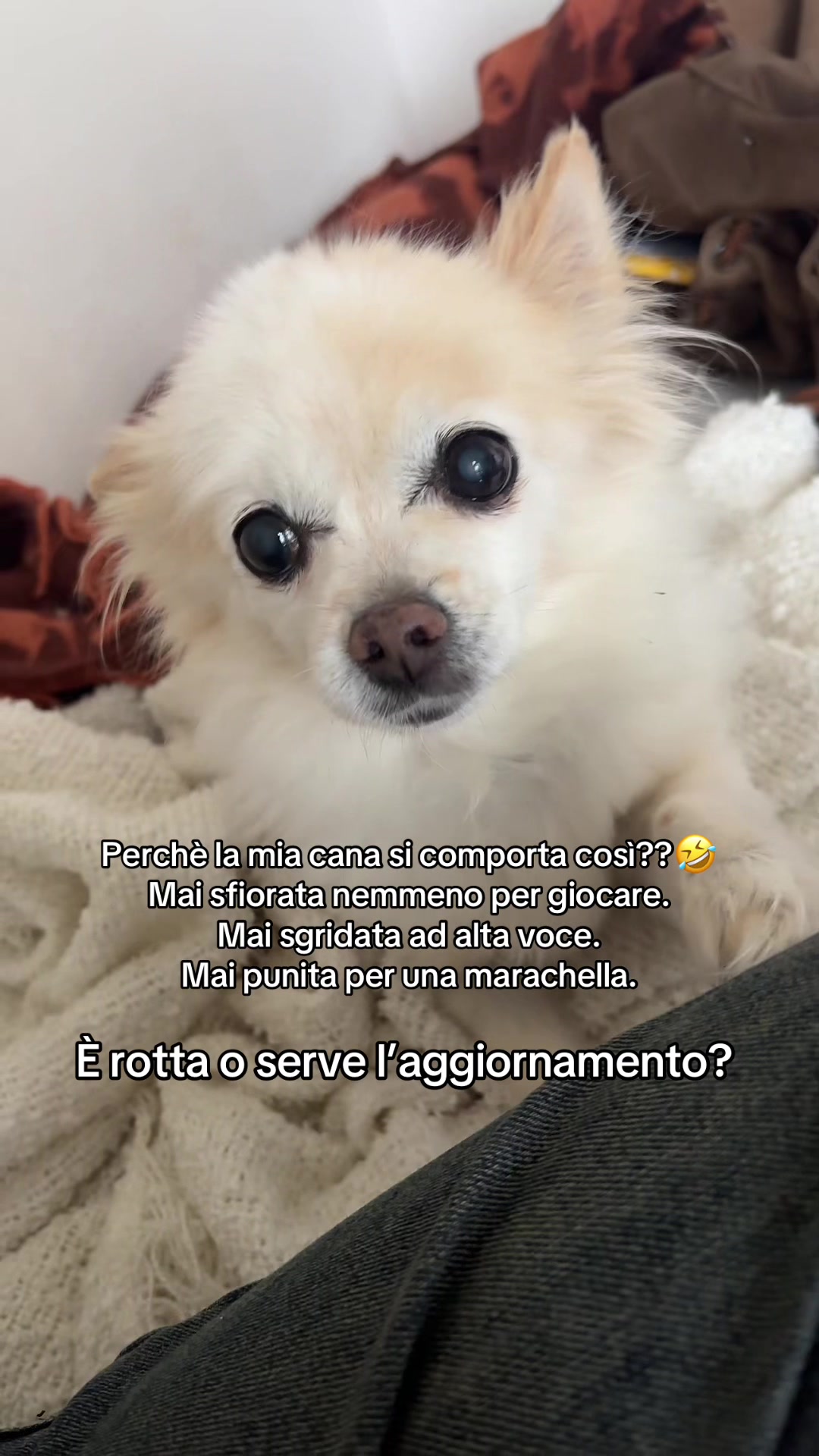 @Sheila Pazzaglia