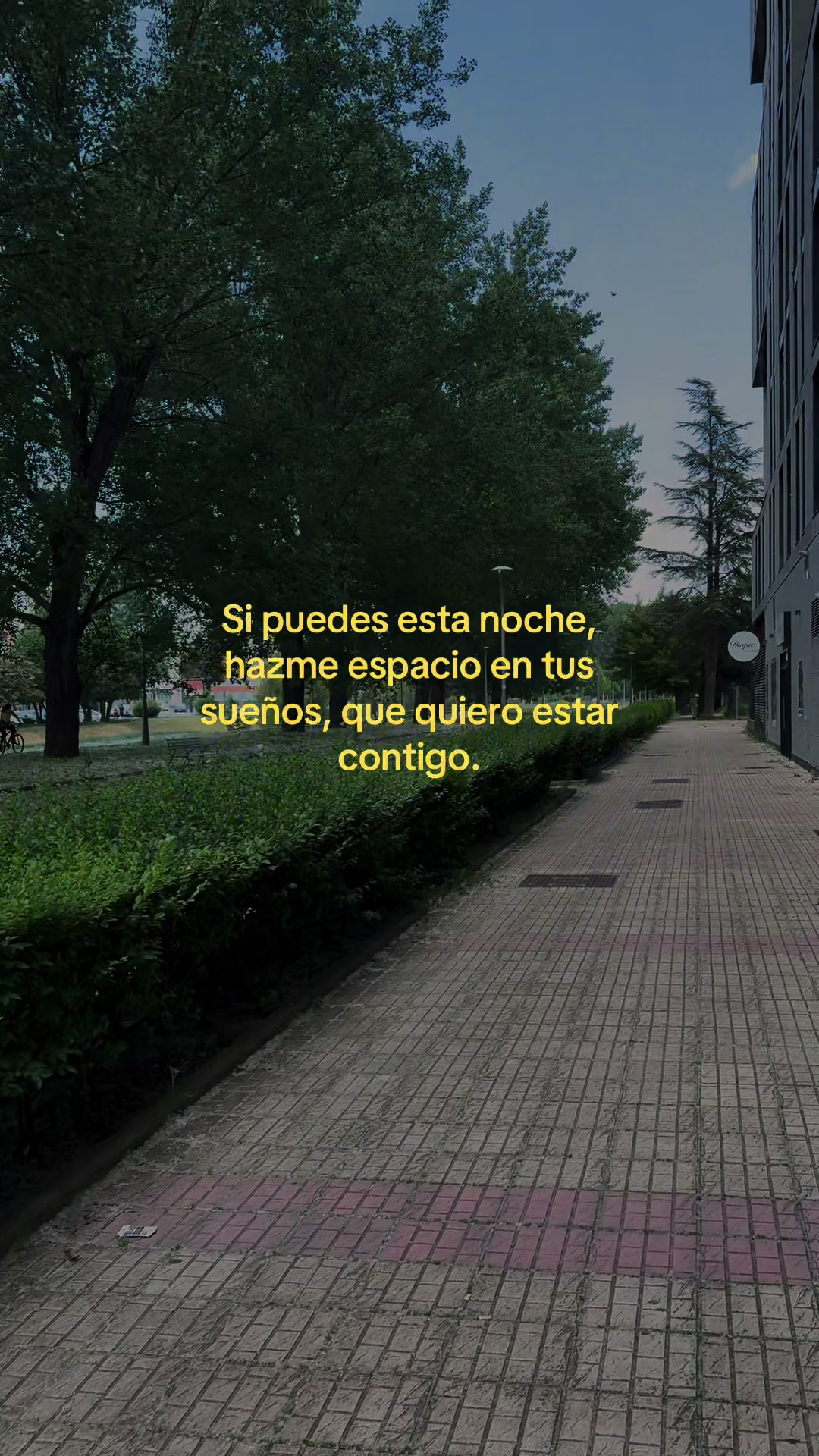 @Manuel Alvarez©️
