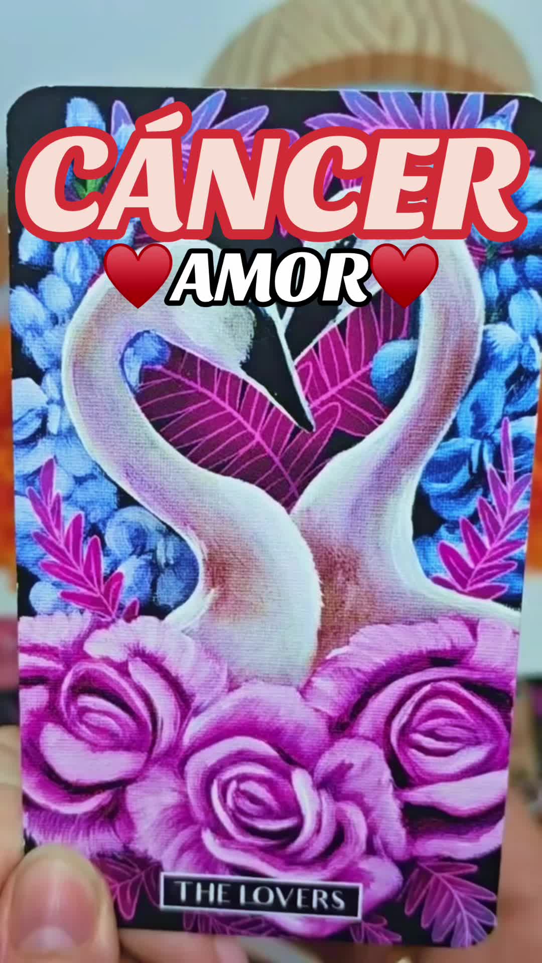 @Daniela Tarot