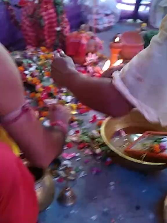 @sanjoypanja09.24