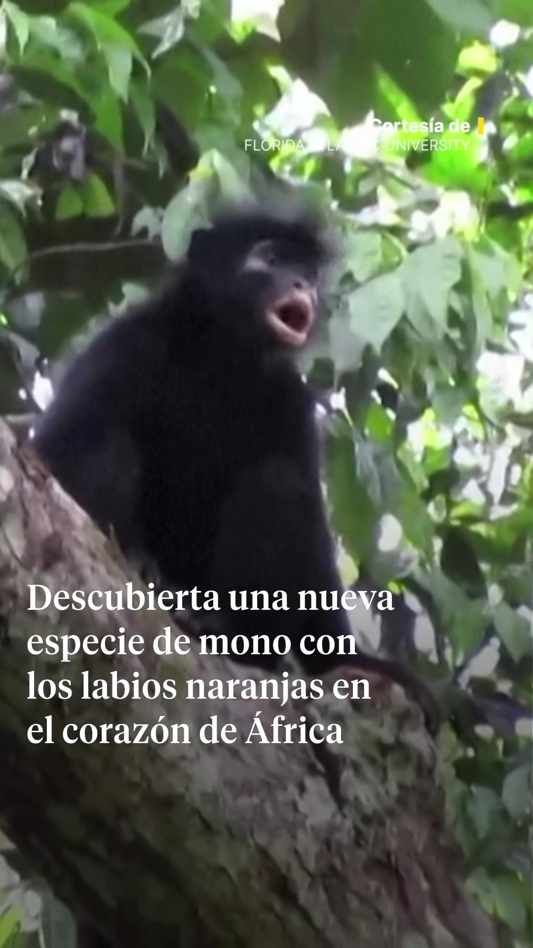 @La Vanguardia 🗞