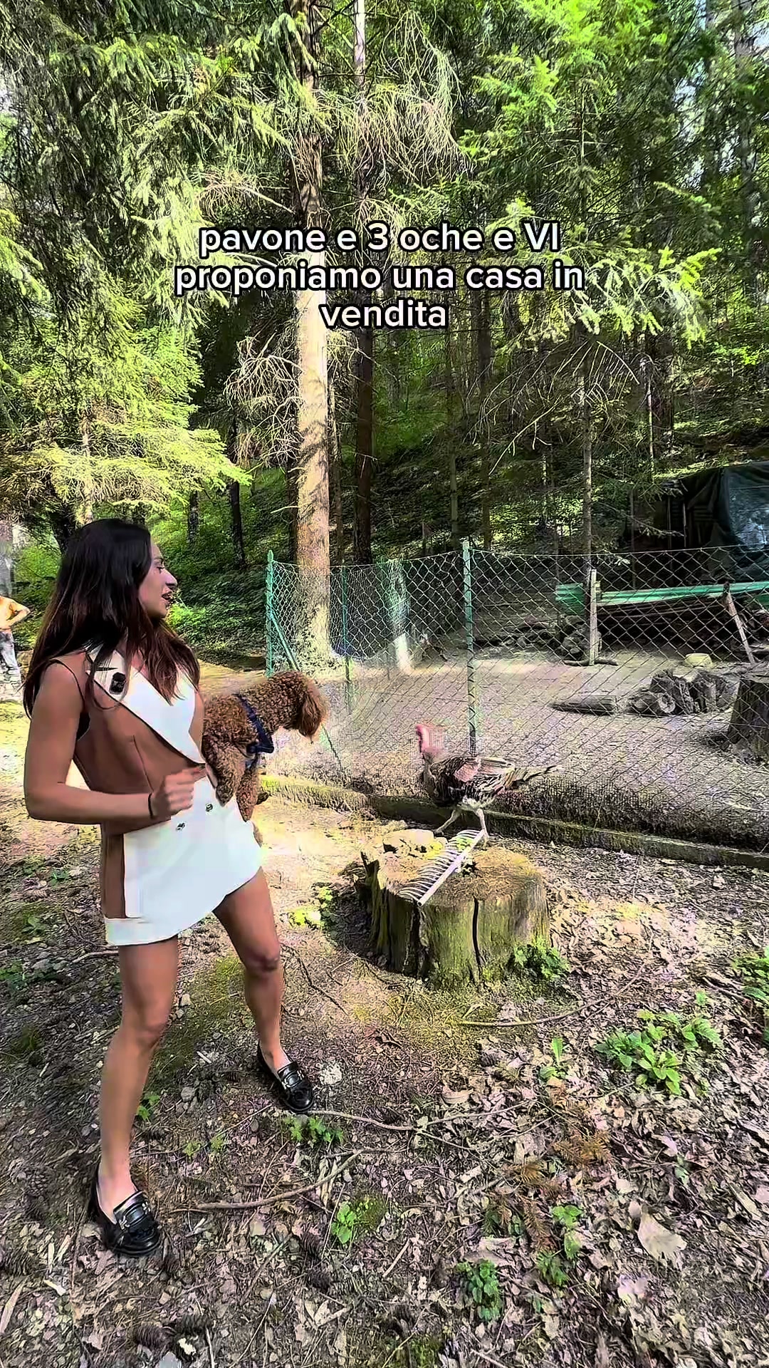 @Sara Savino