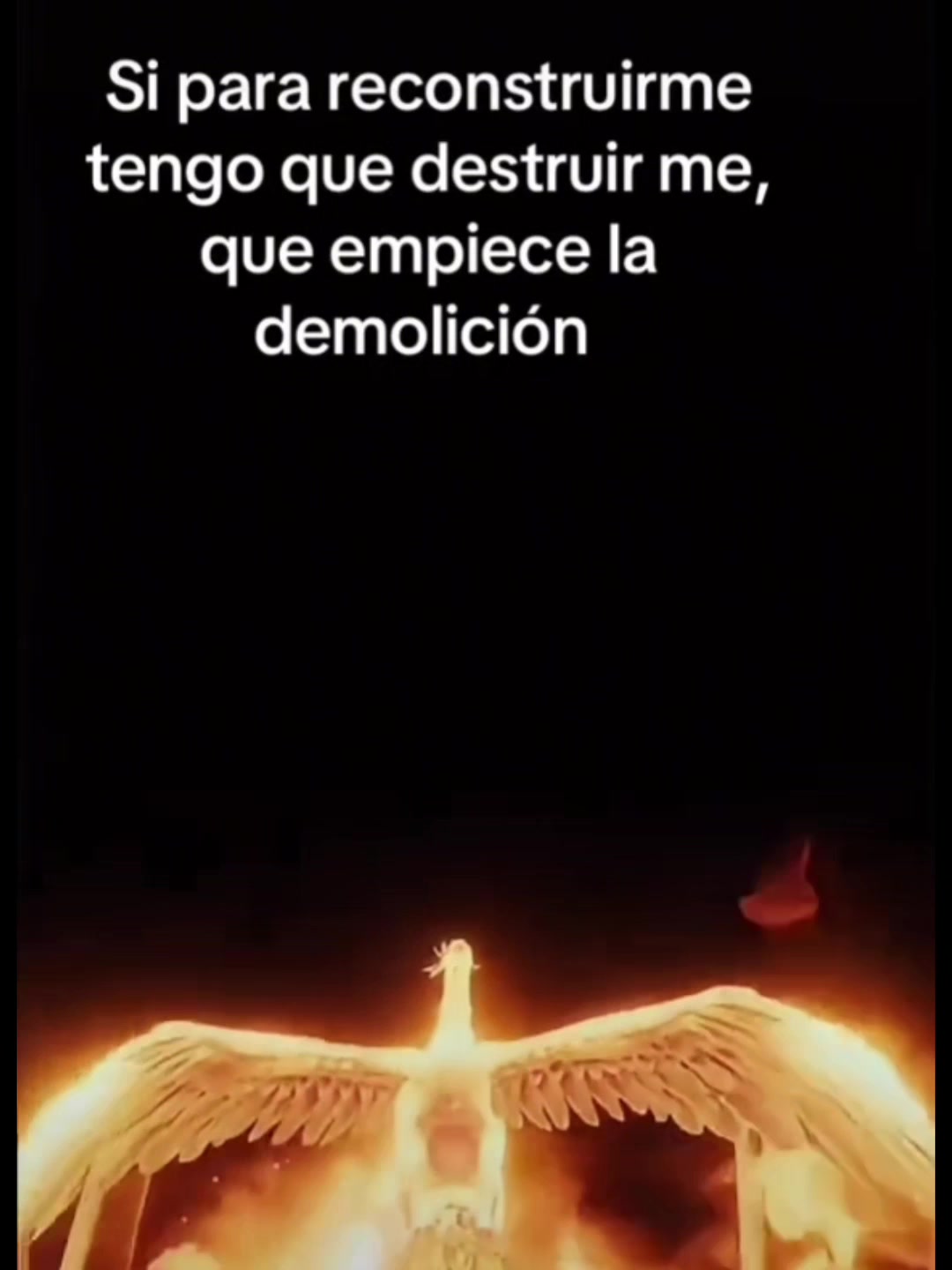 @sonia lopez garcia chicote