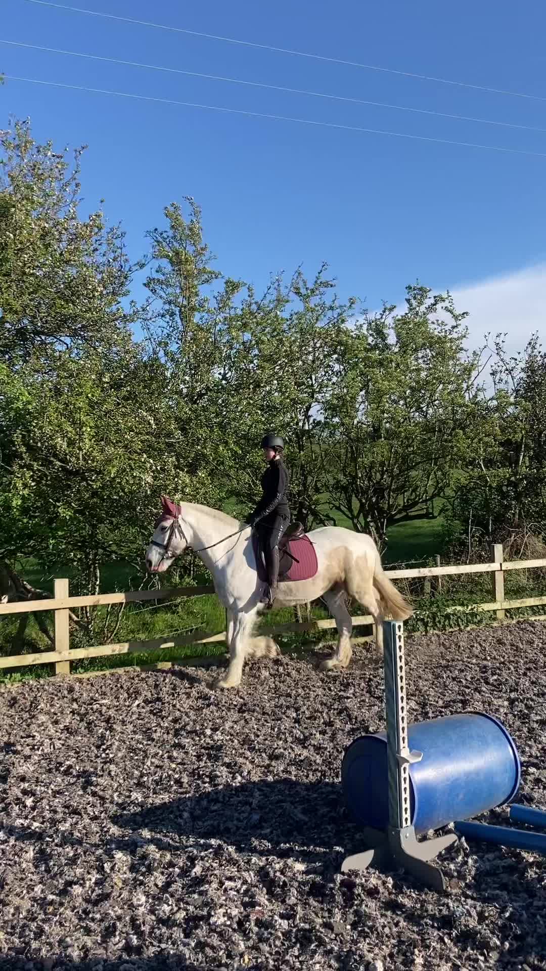 @horse