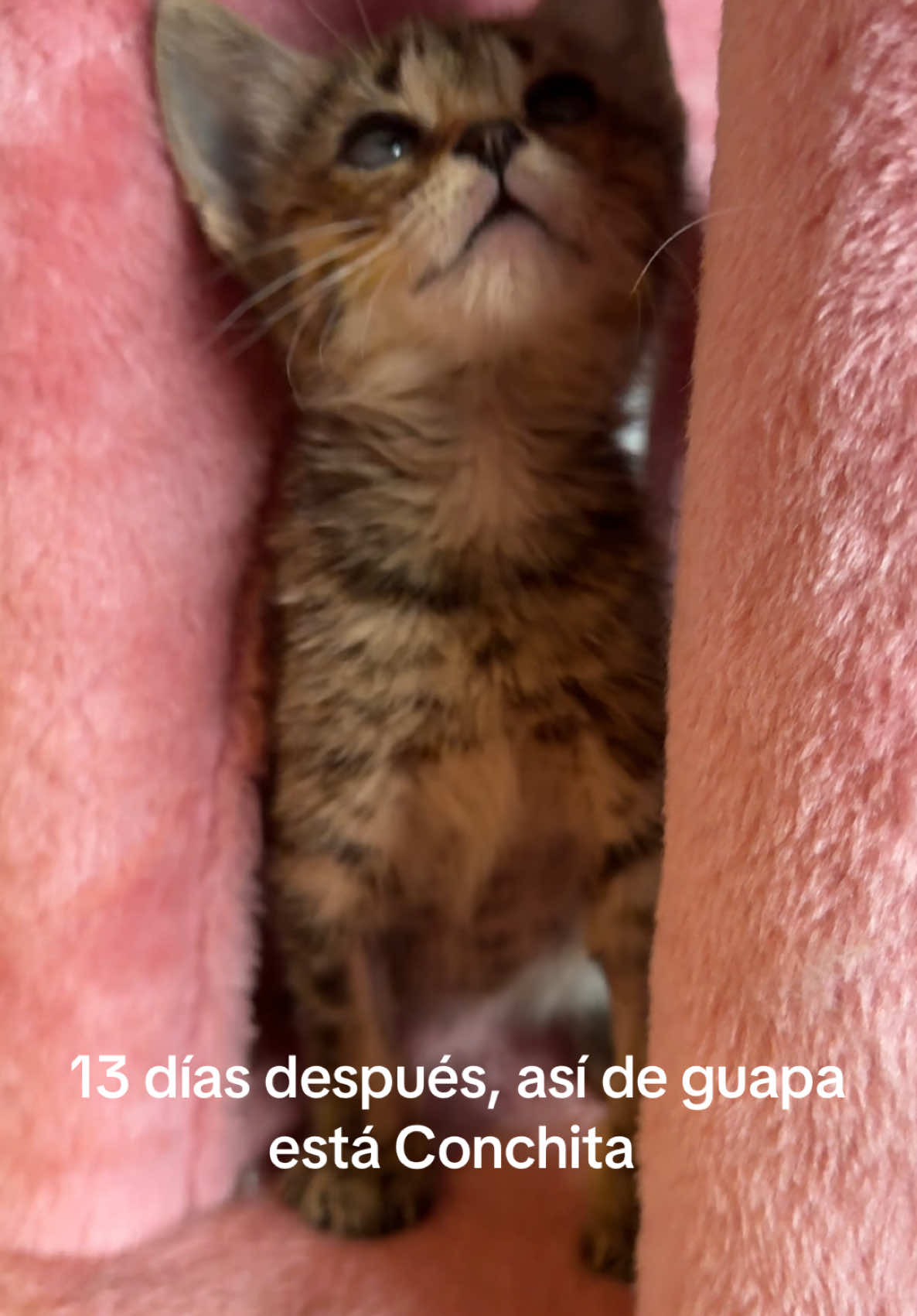 @Yolanda