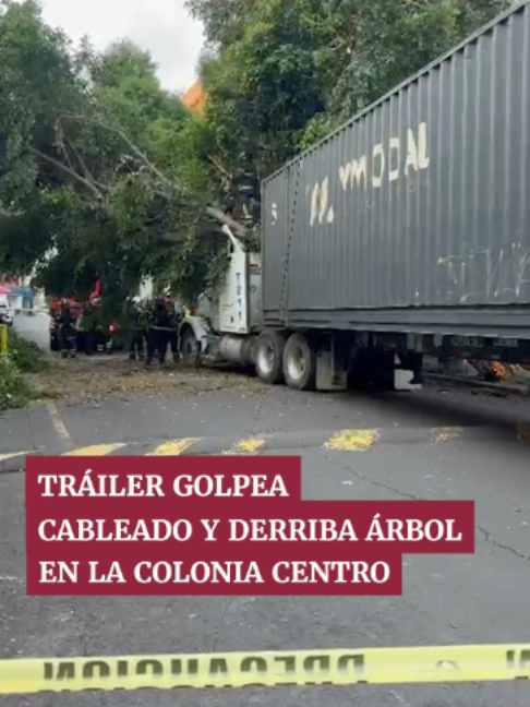 @Periódico Excélsior