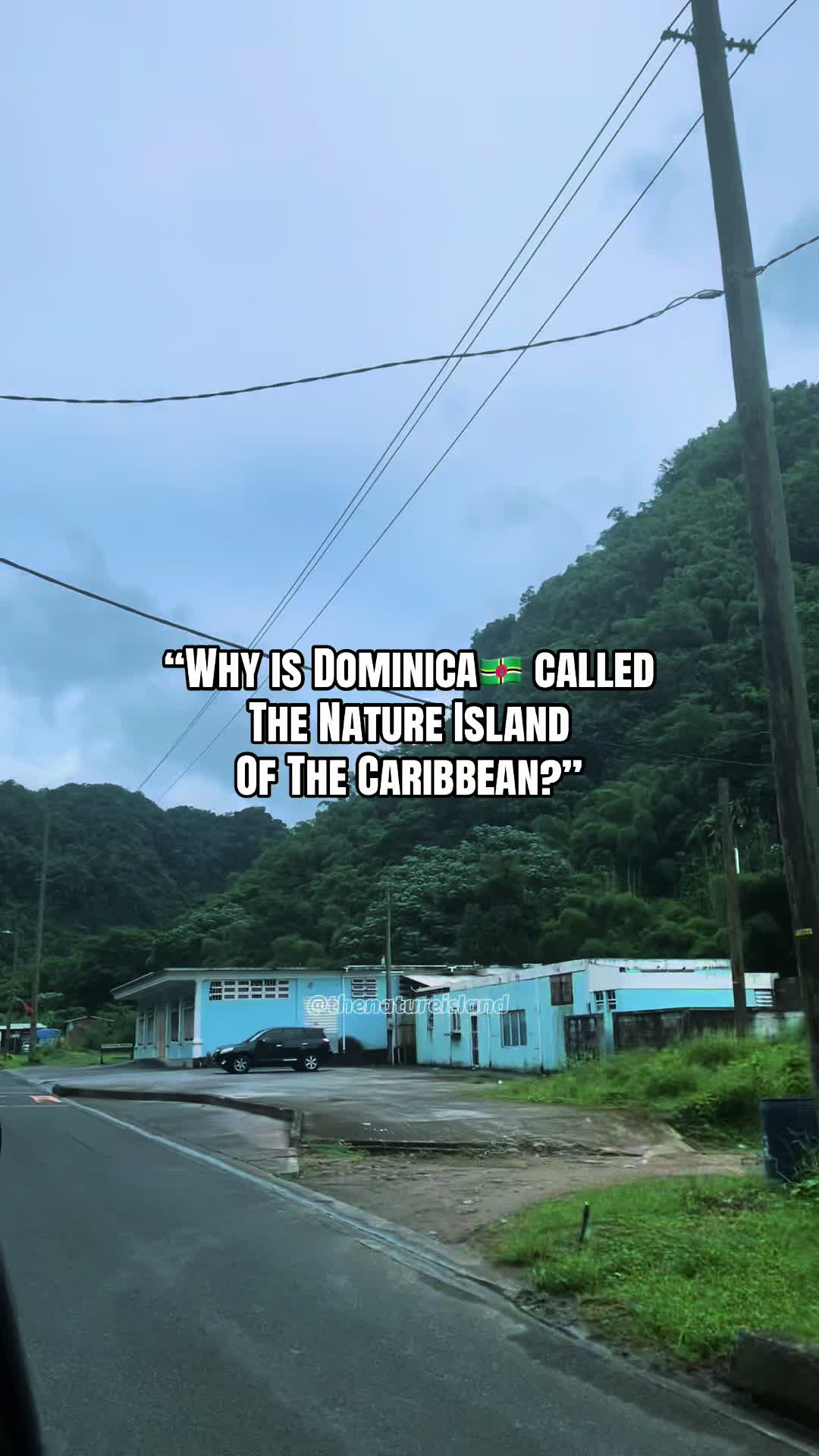 @cami🌺🇩🇲