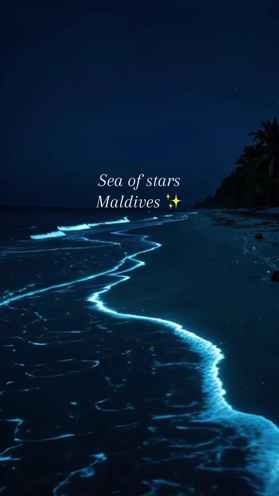 @trave1luxury