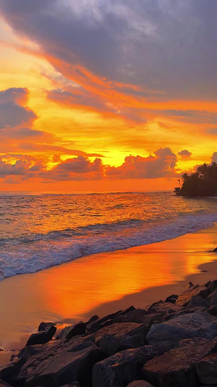 @💖Sri lanka💖🇱🇰💜🇮🇹💖