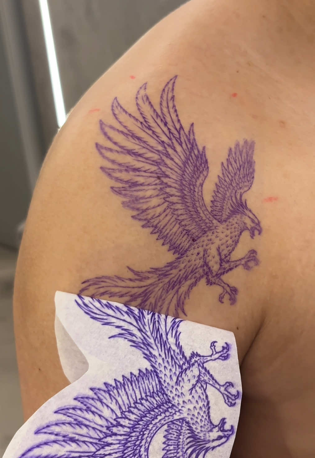 @nnoetattoo