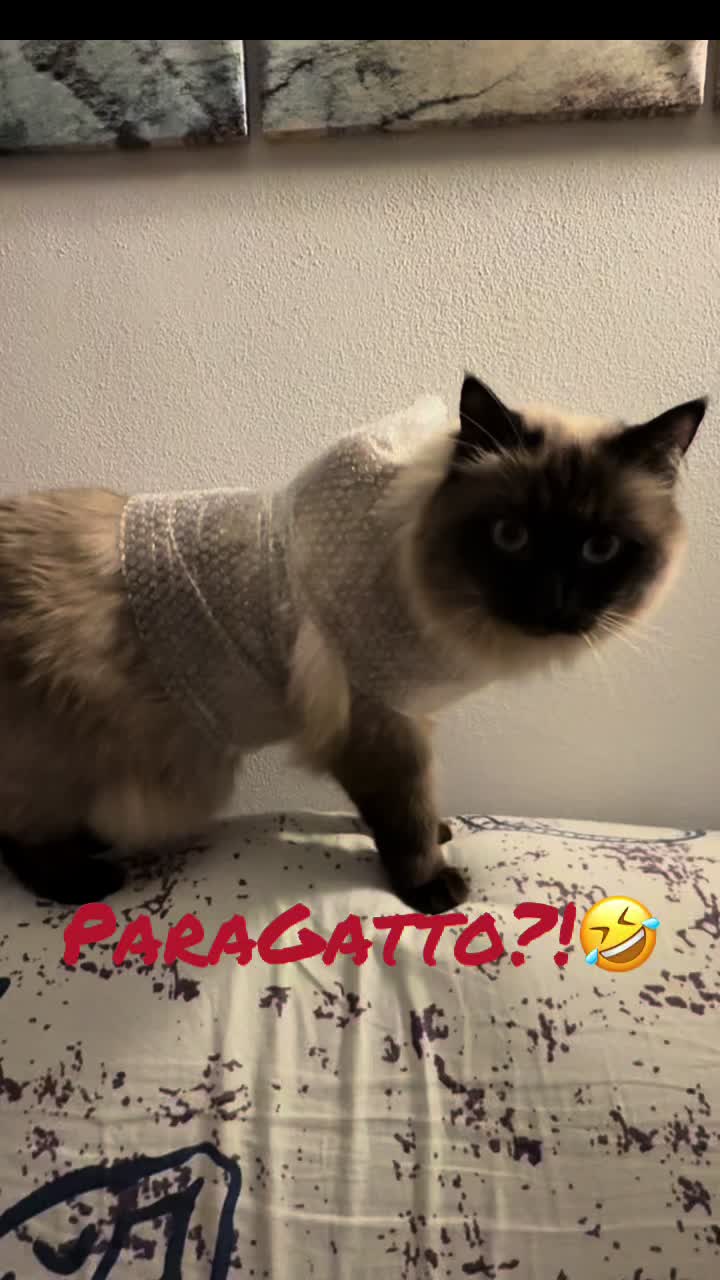 @Cristina Poncato