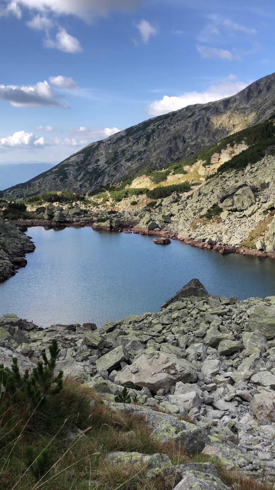 @Pirin