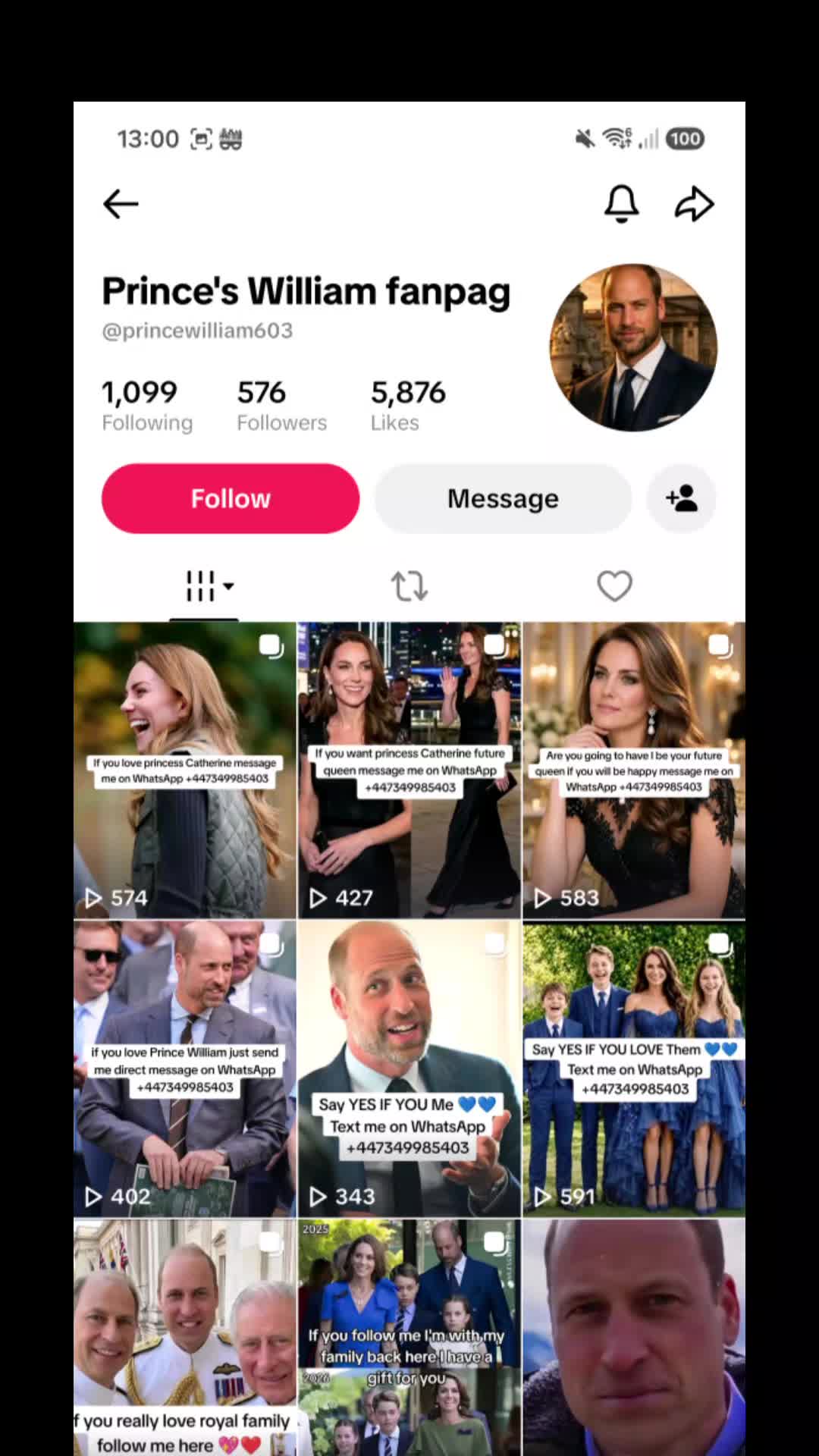 @wolfbait_2