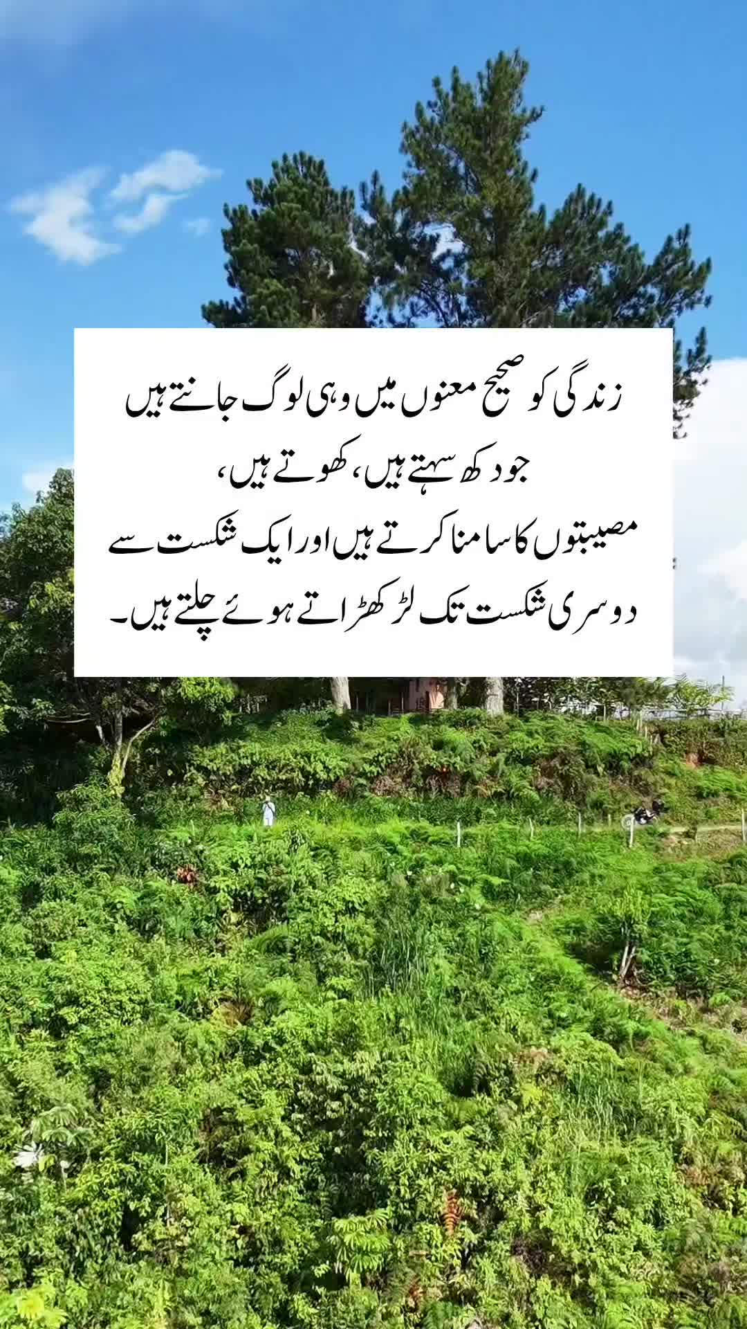 @Kainat Quotes
