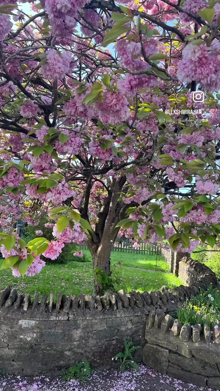 @Lekshmi UK 🌹