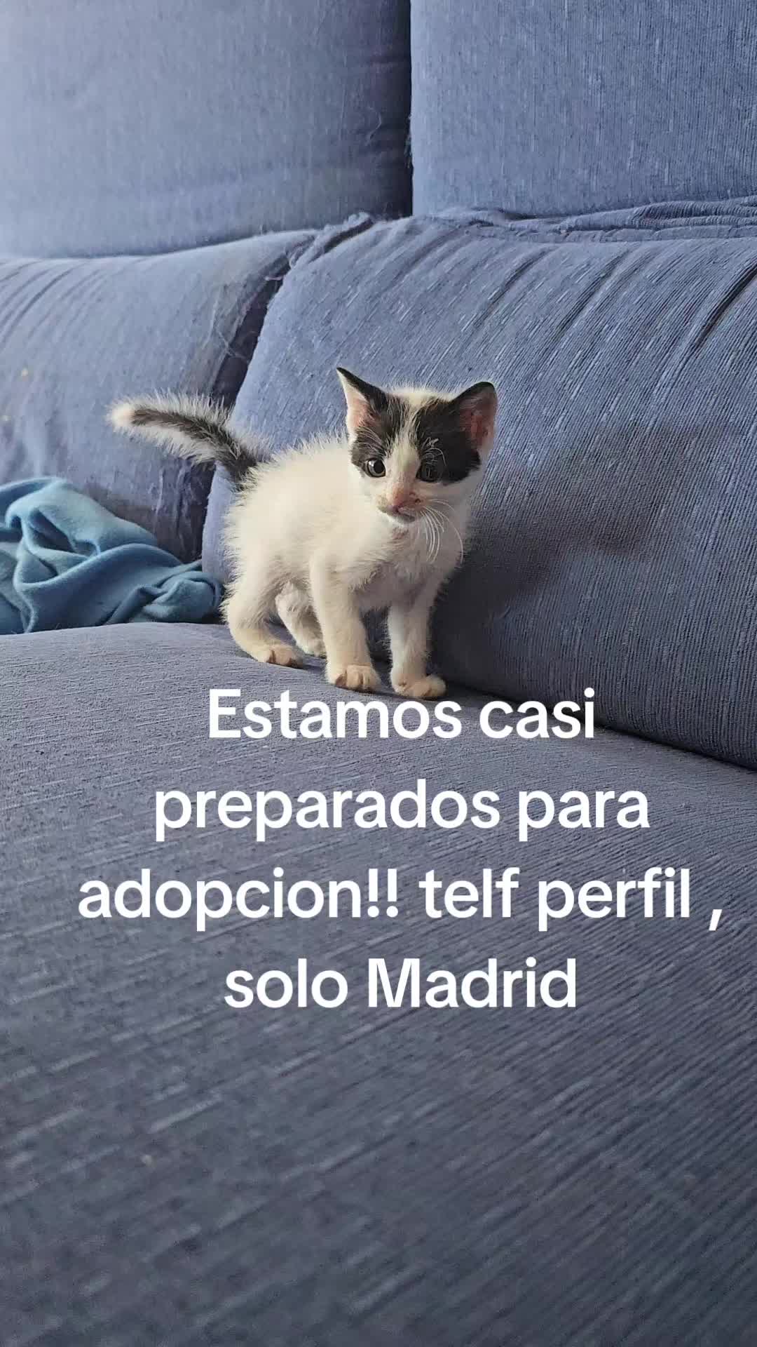 @Ronporsiempre