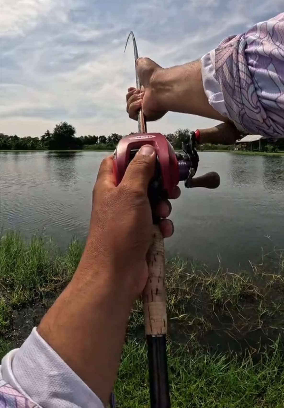 @PL420