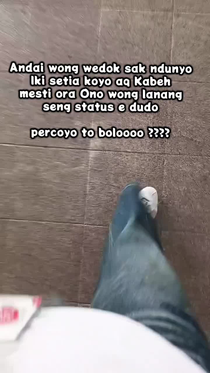 @Tumyny Mbyankoxs