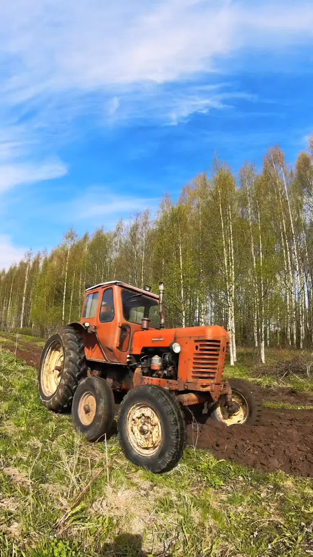 @ForestAndWheels