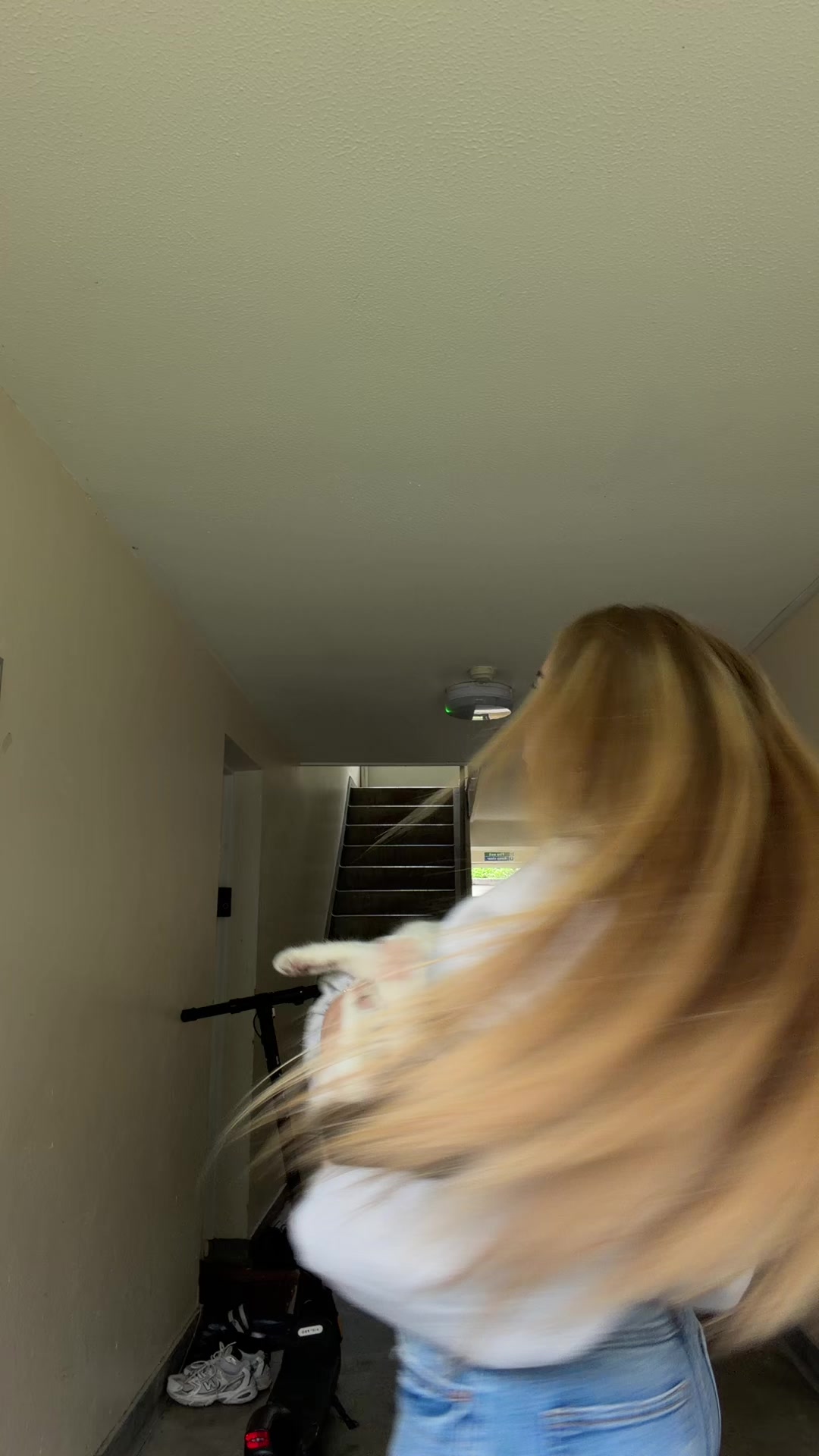 @lilyrosespam🩷