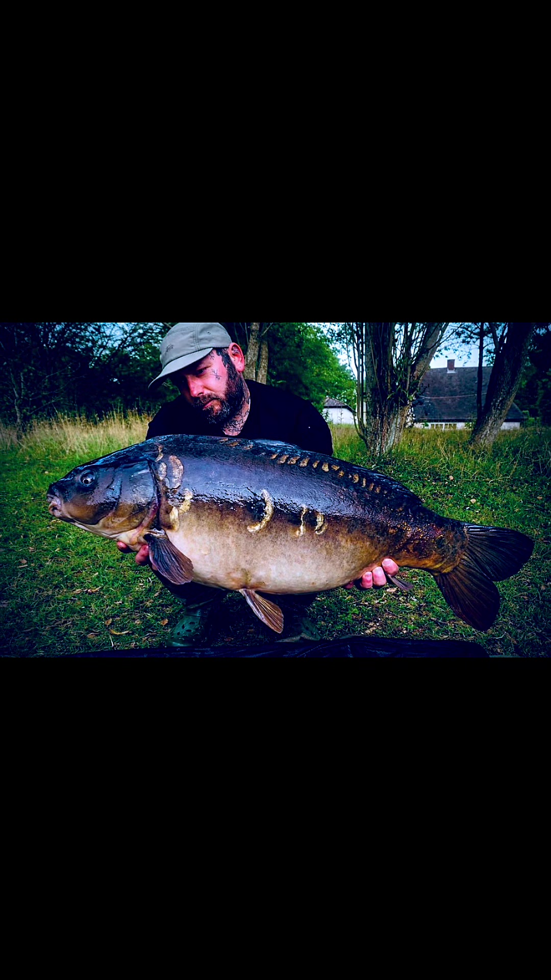 @Ian bank rat davies