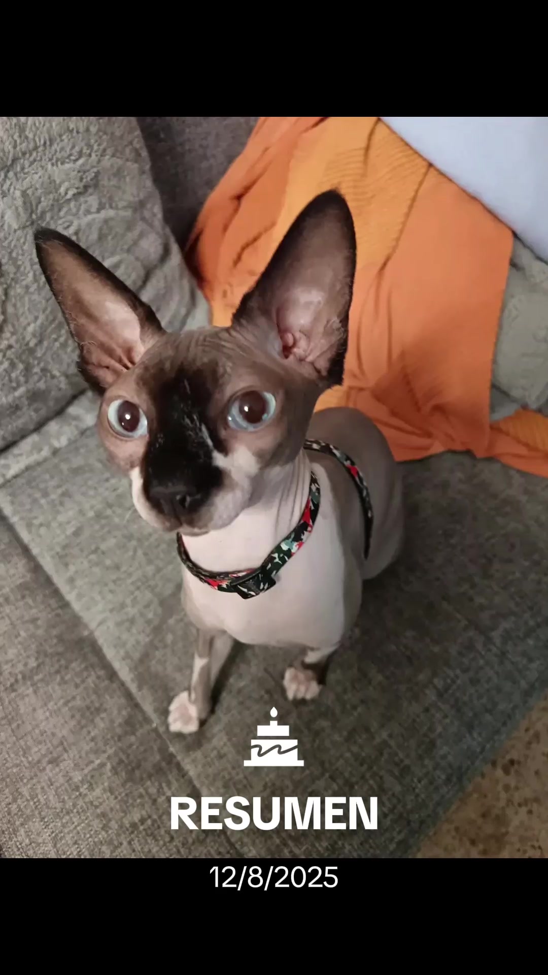 @Chiky_Jessy