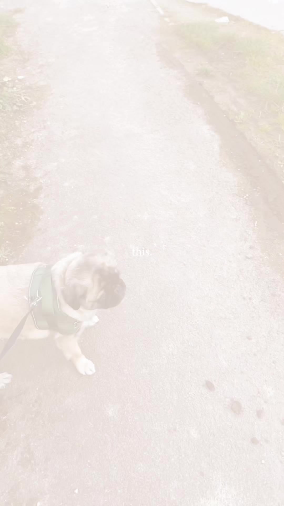 @kyla_spams