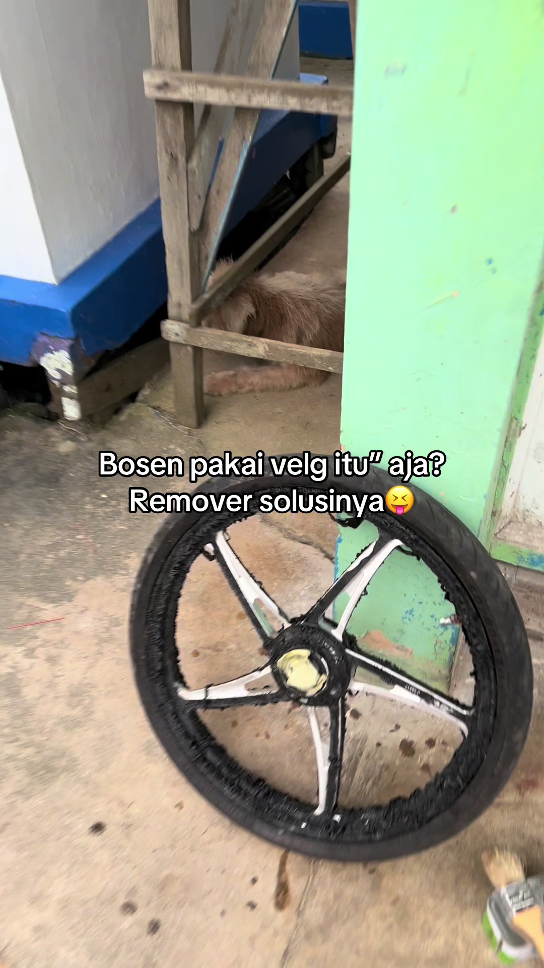 @Xenzy🇻🇳