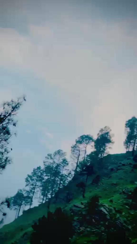 @amjid Bâlôçh