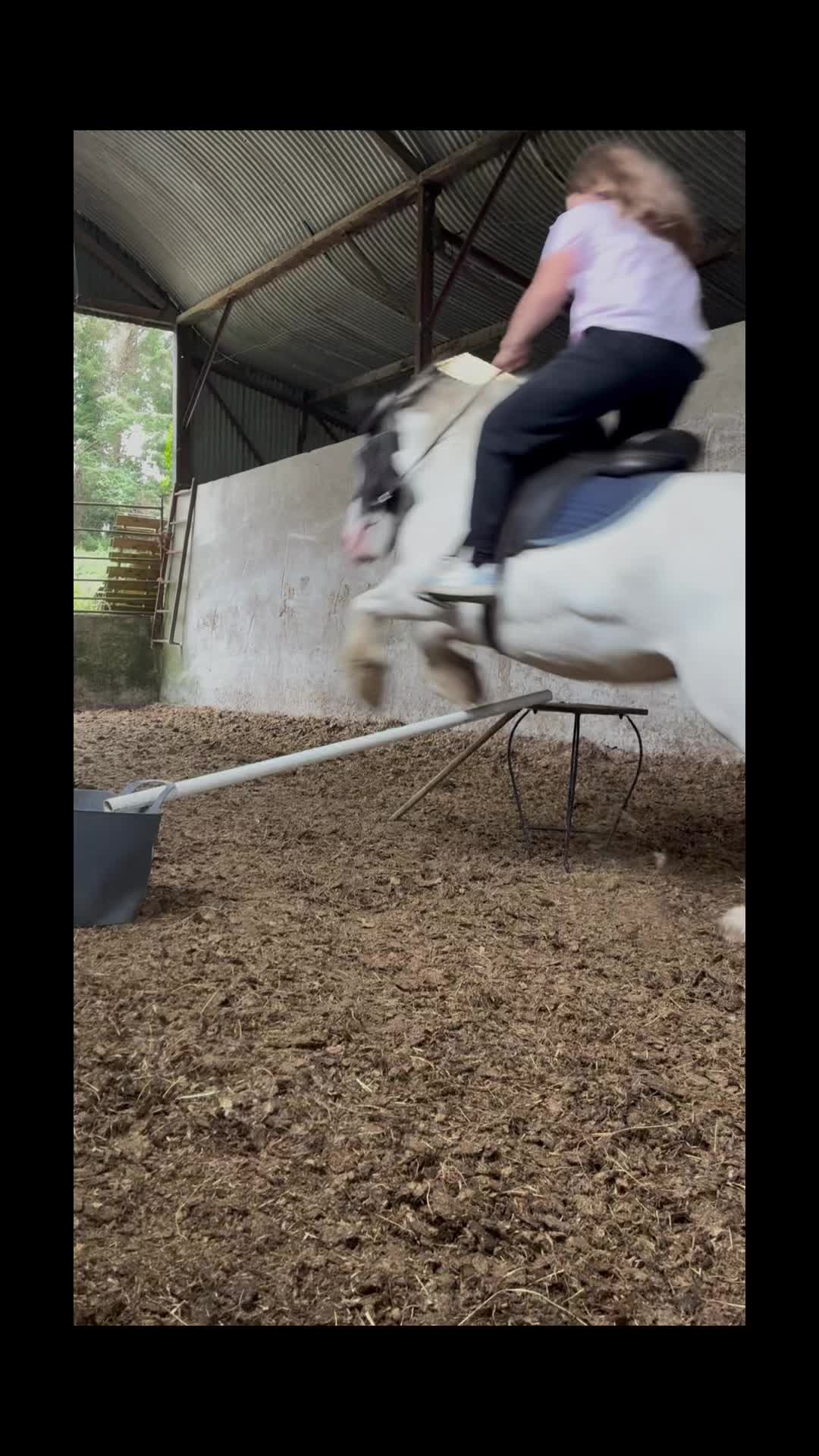 @Zara’spam🇮🇪🐴