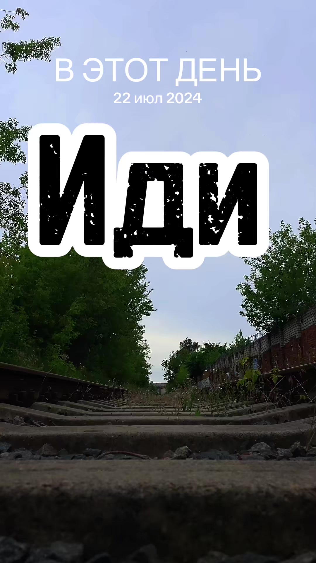 @саша борода