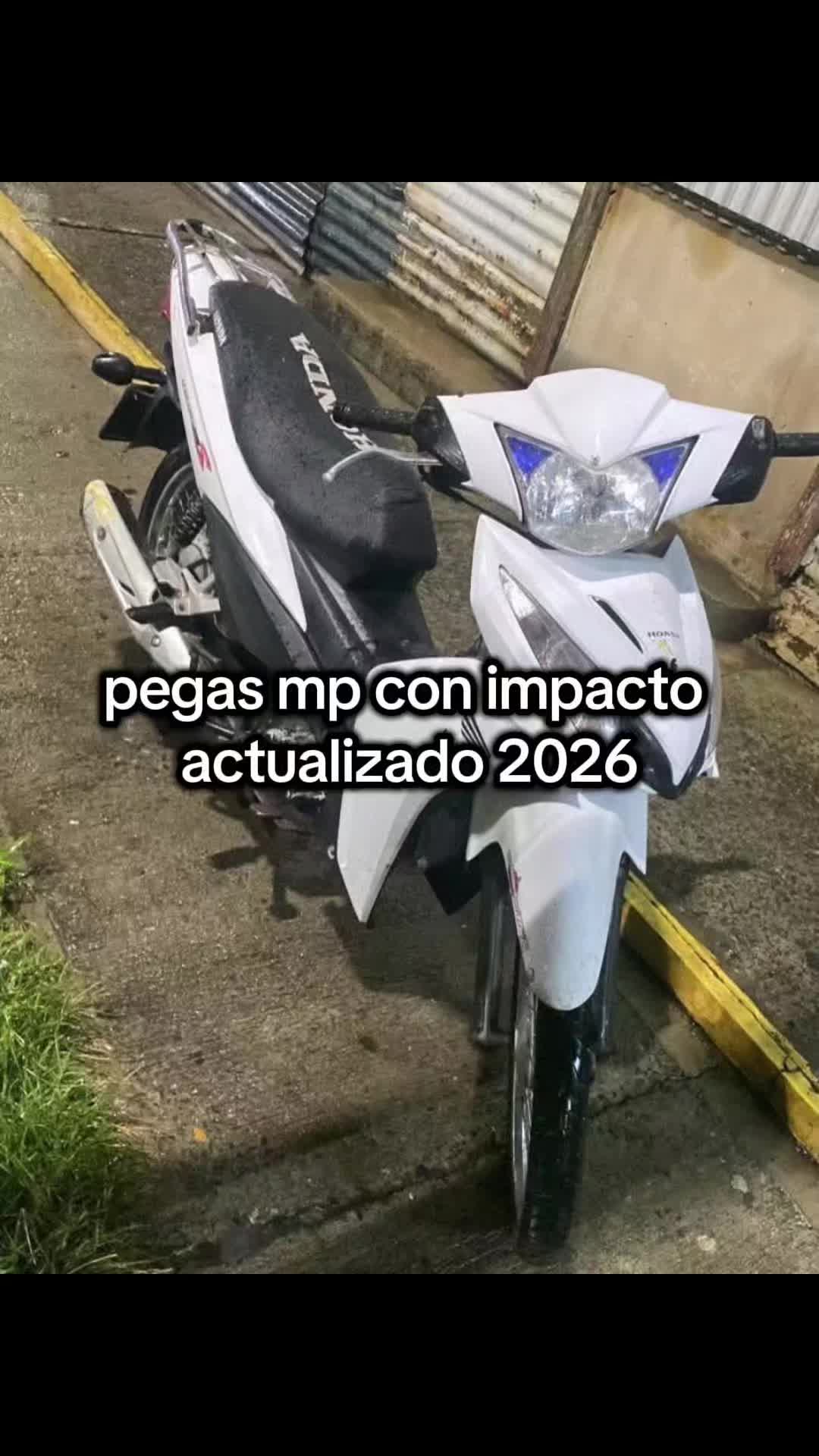 @mpamarillo6666