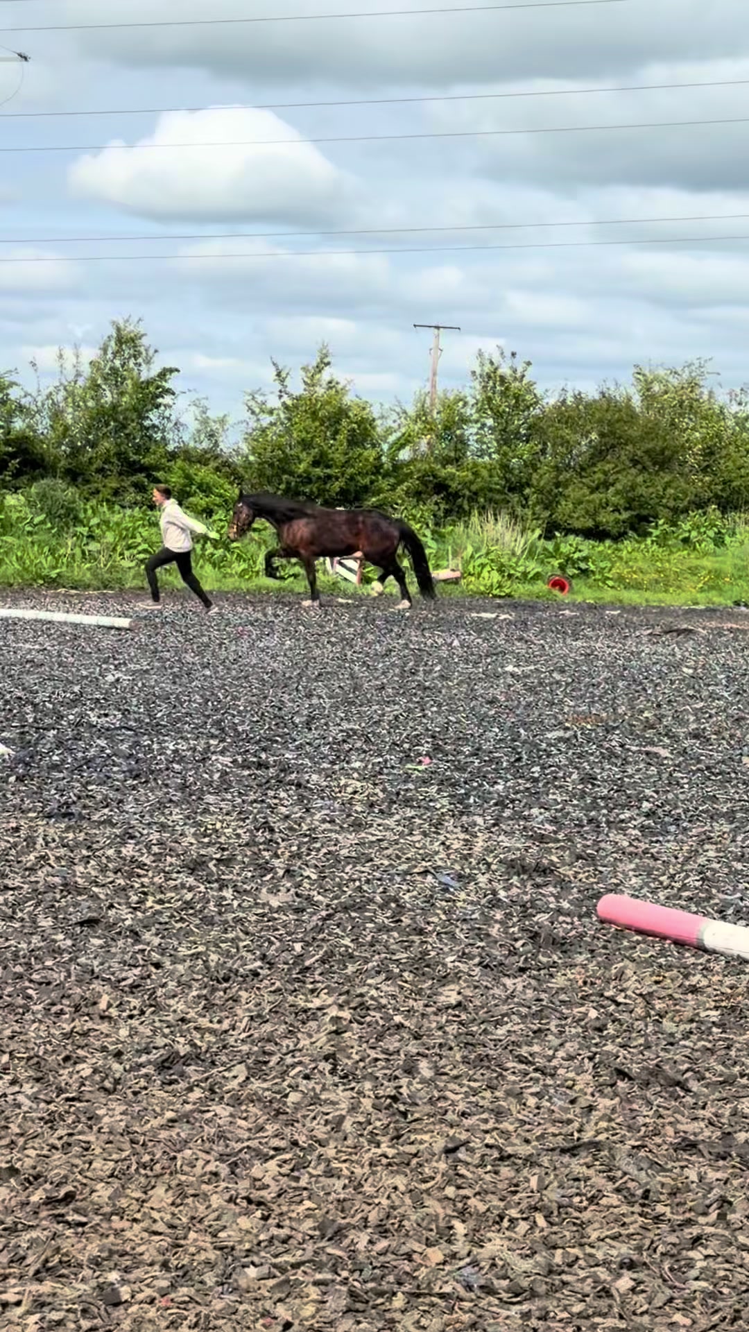@RDHillEquestrian