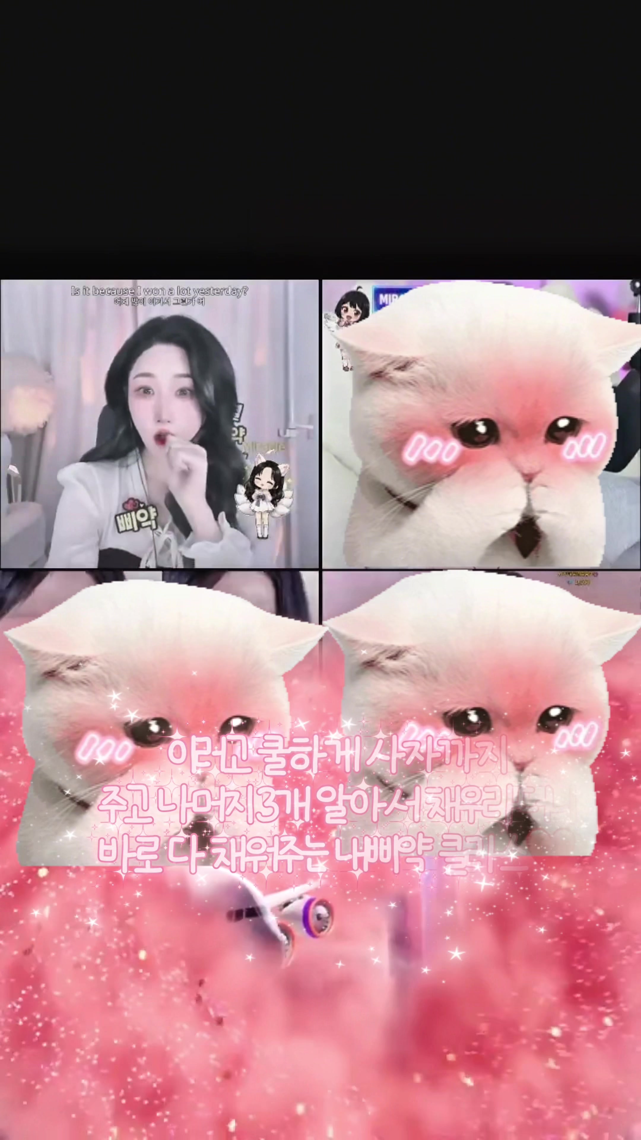 @๐พ๐ฆ์์ธ Jain๐ฆ๐พ