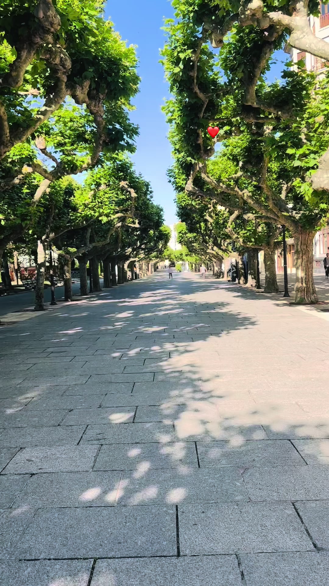 @Bano heidari🇪🇸💛🤍💙
