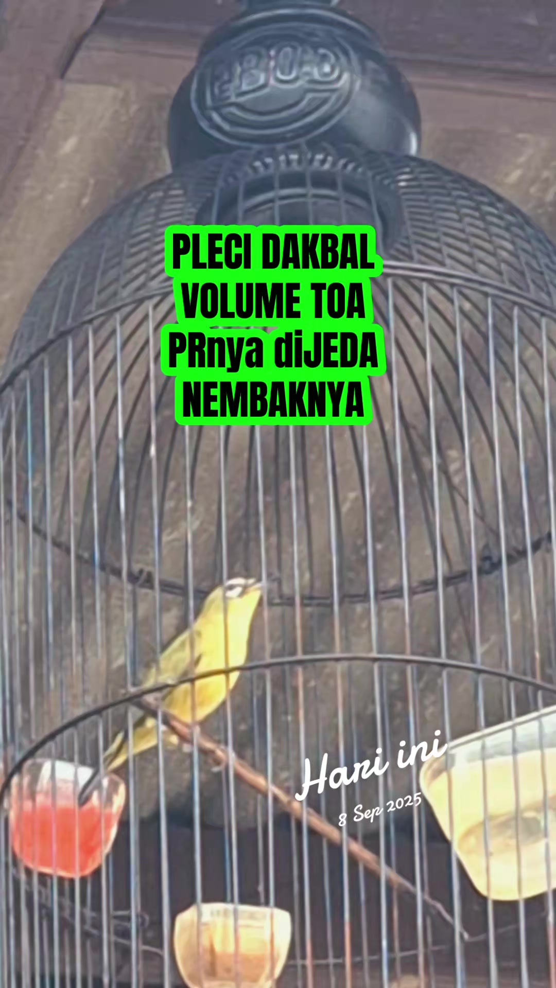 @totalbukpar