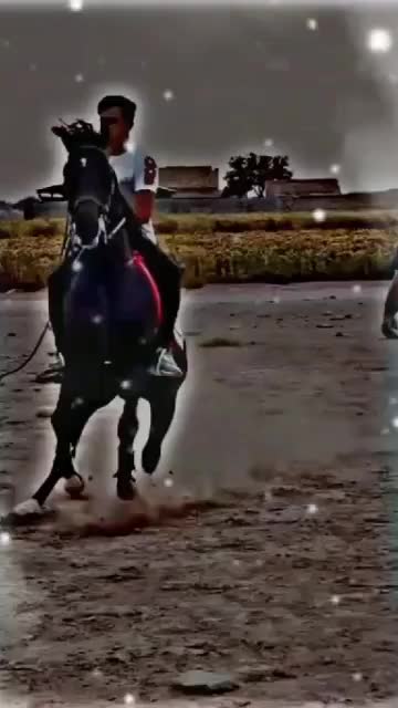 @wayla.nawab.302