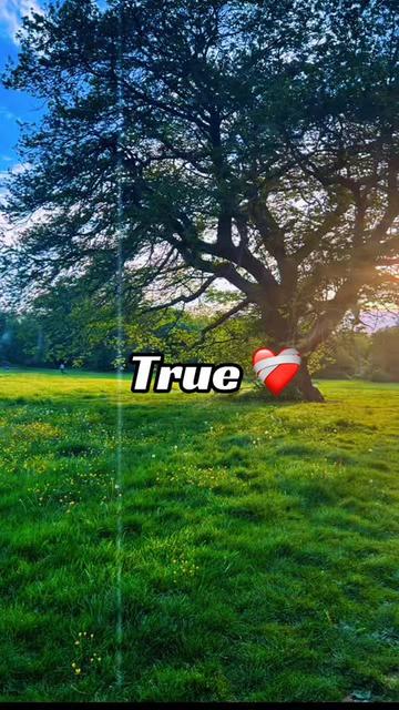 @🎖️💙Shathi.143💙