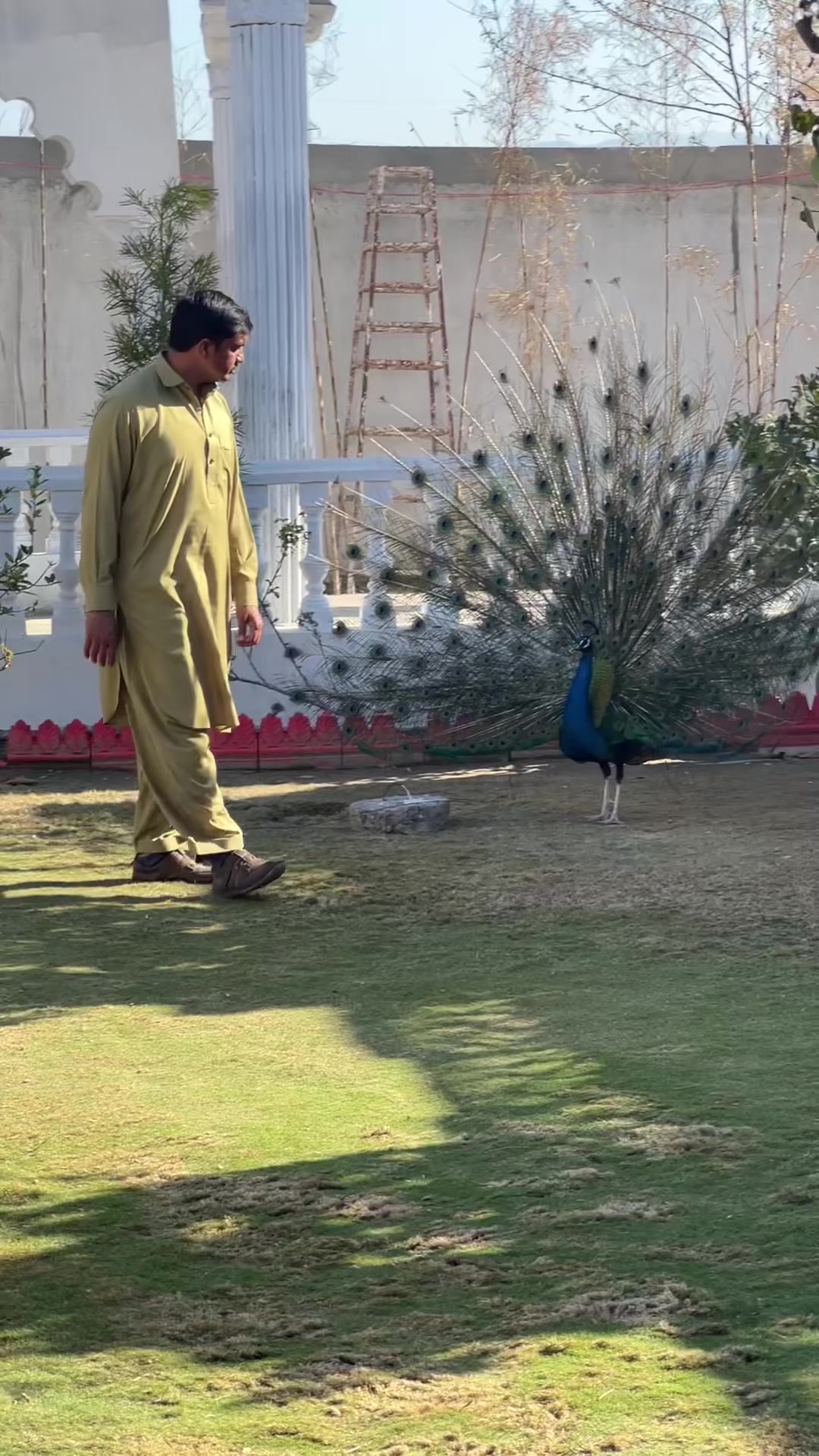 @Shakeel Khan !!! 💕🍁😘