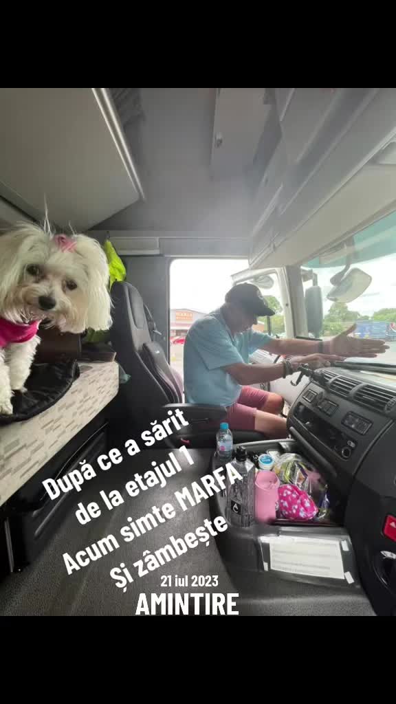 @siminicasimi