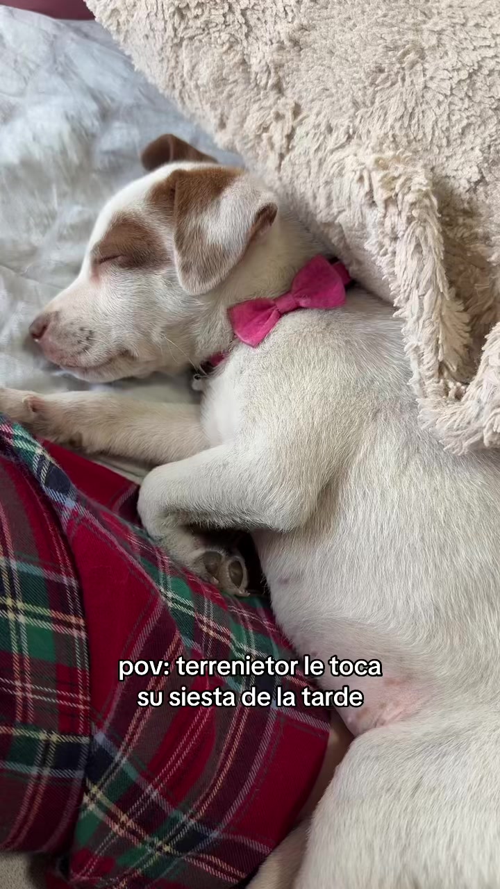 @Alejandra mtz