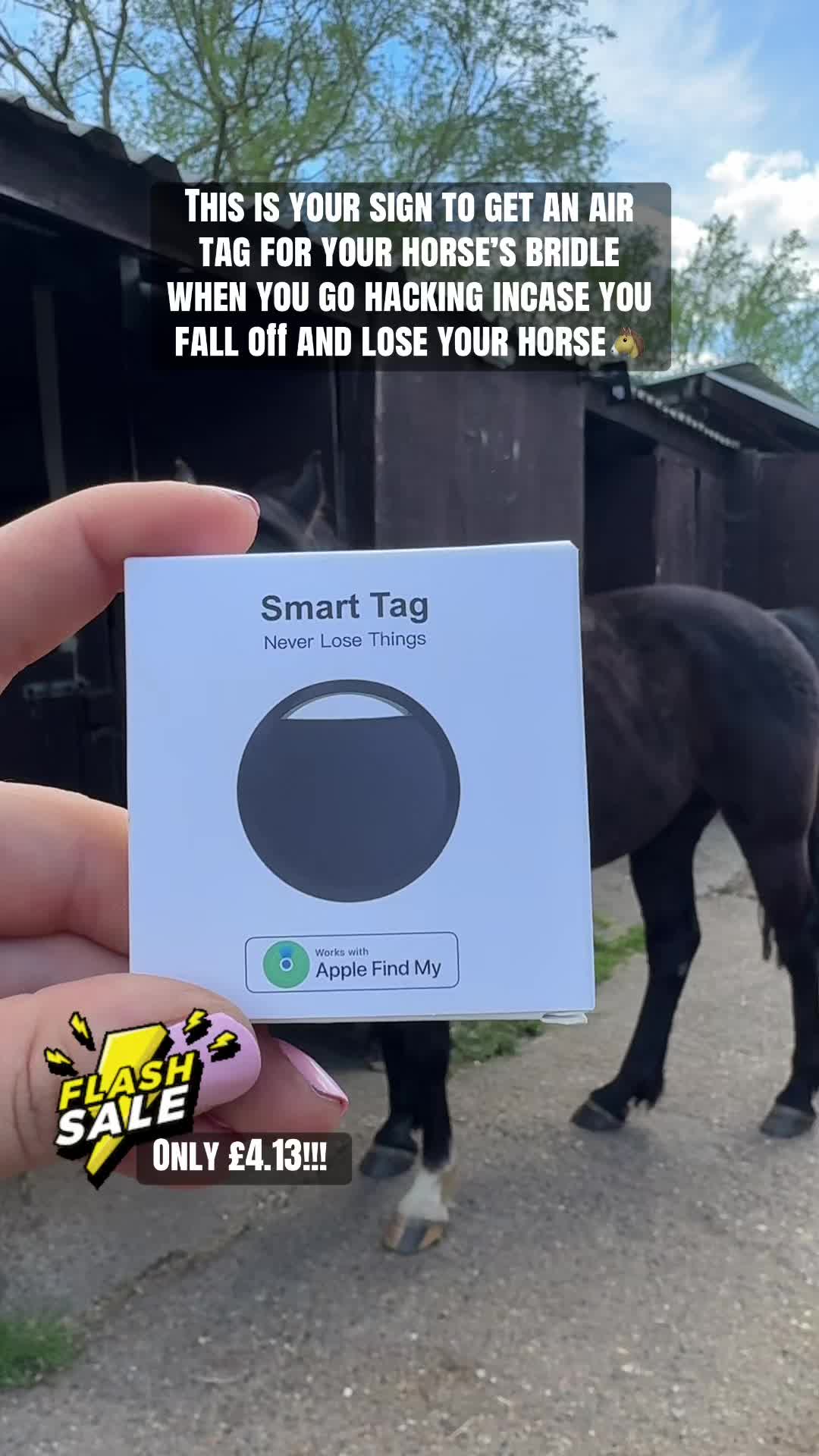 @Charlotte.Equestrian
