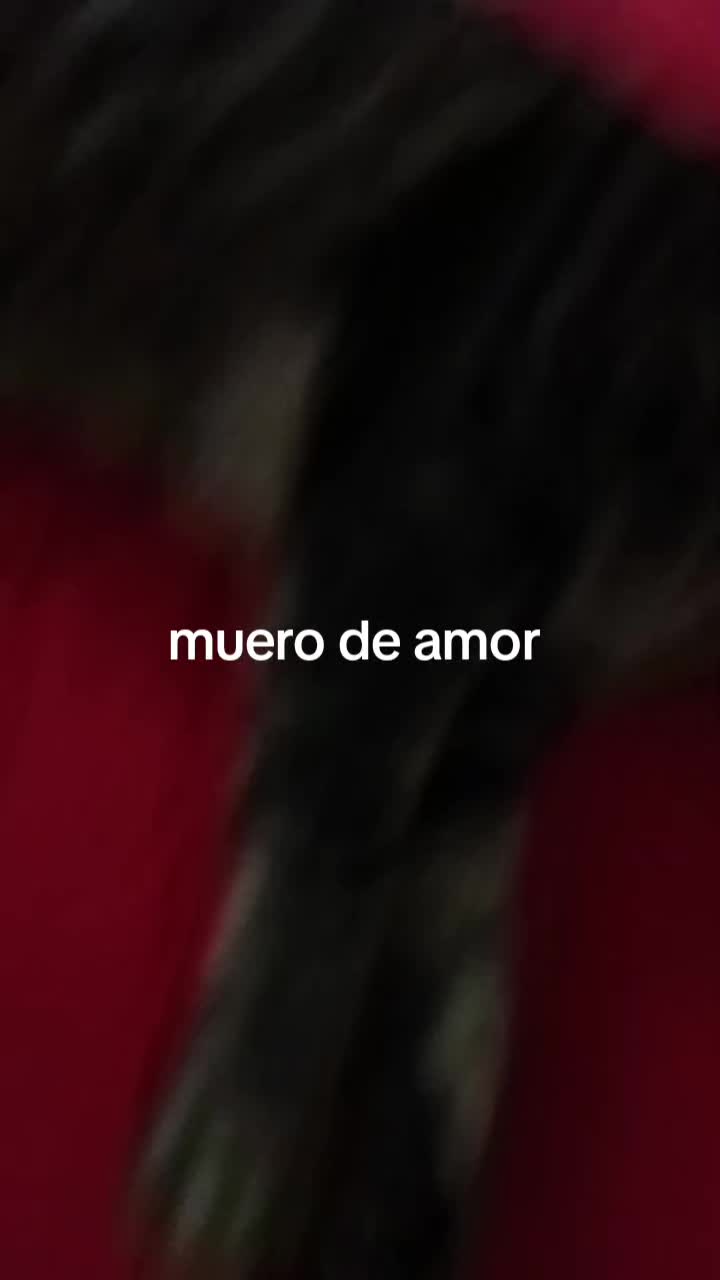@Vero Jimenez Ferrer