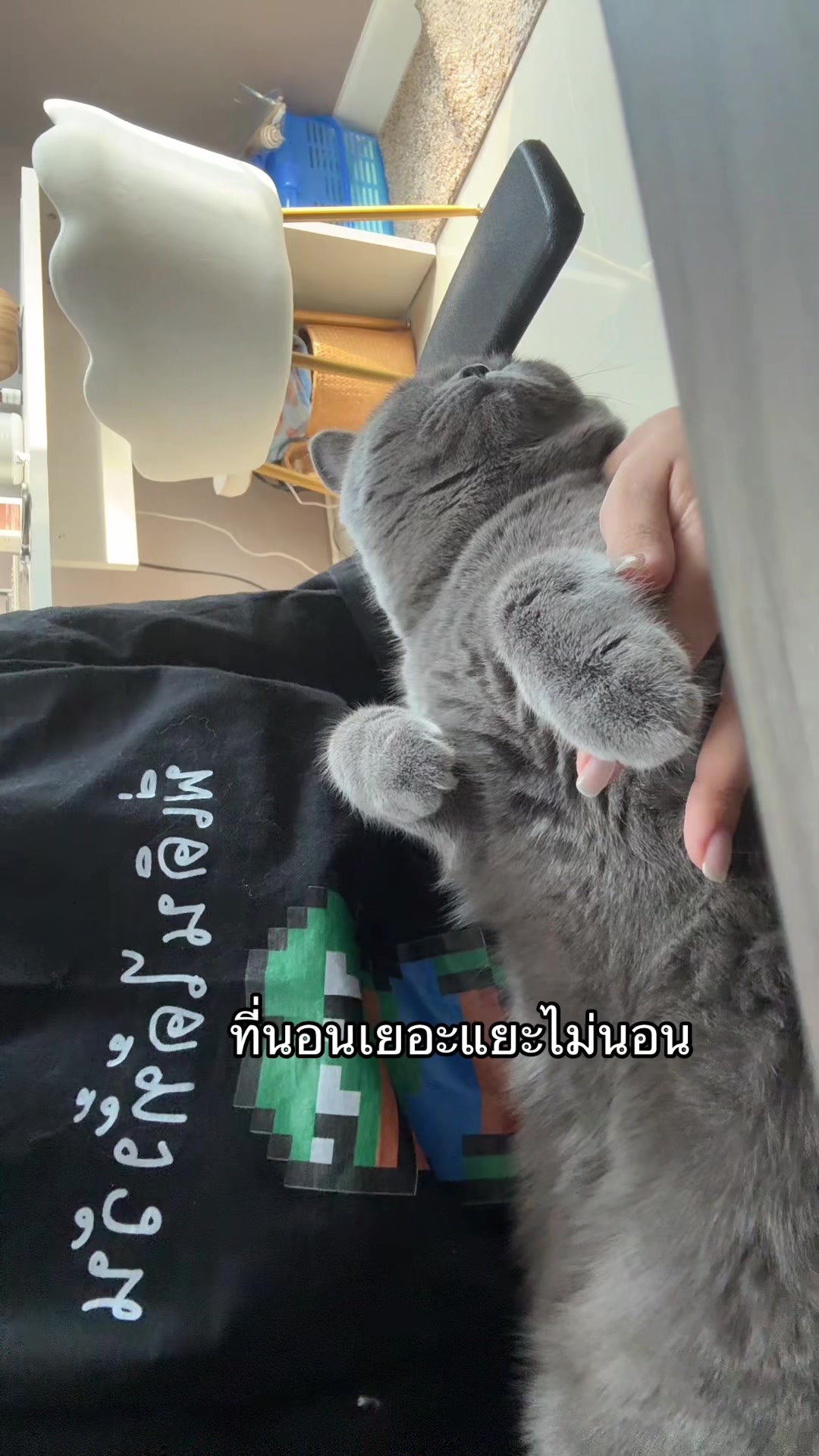 @GRACE แกรม 1964