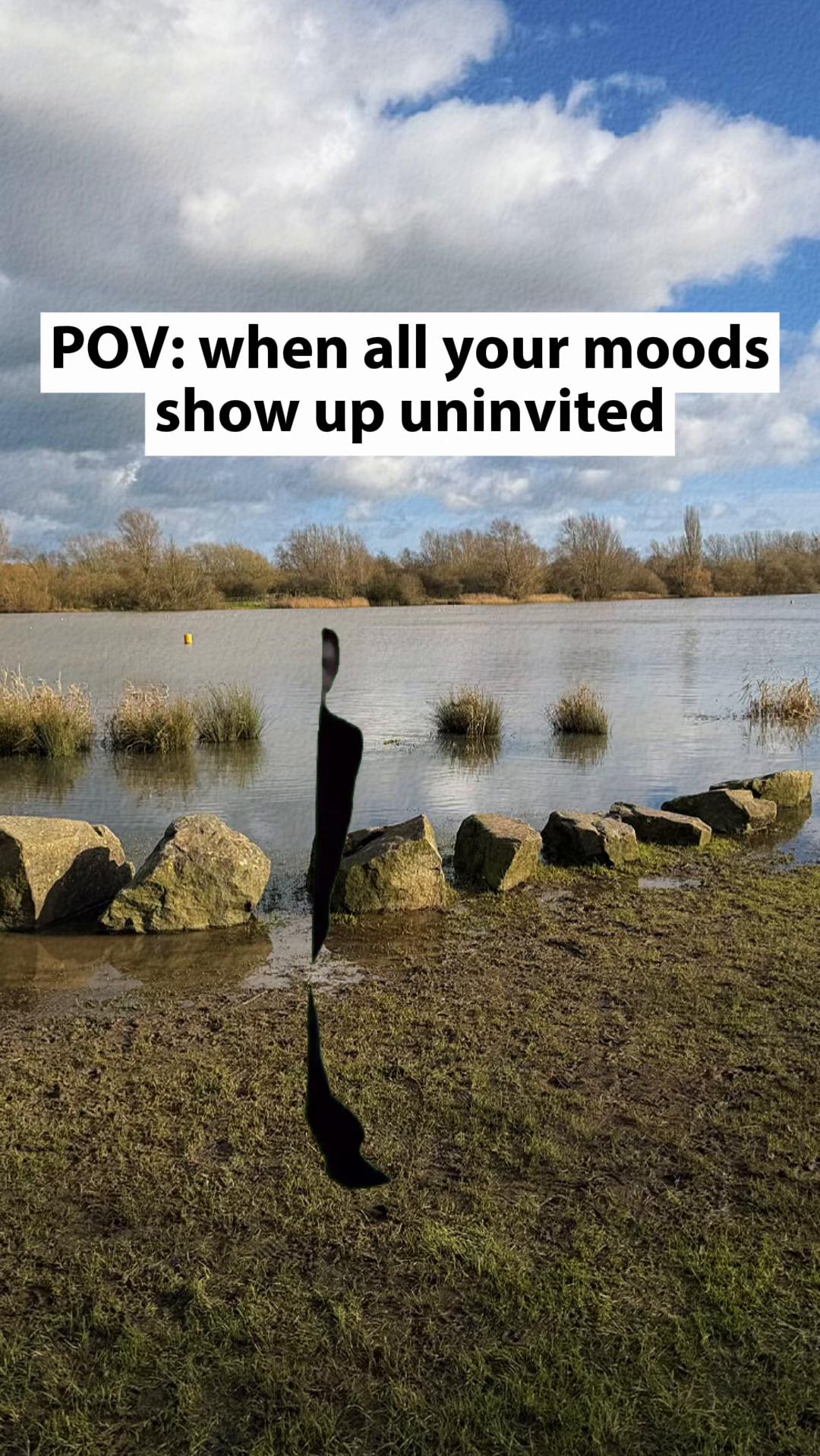 @gemma