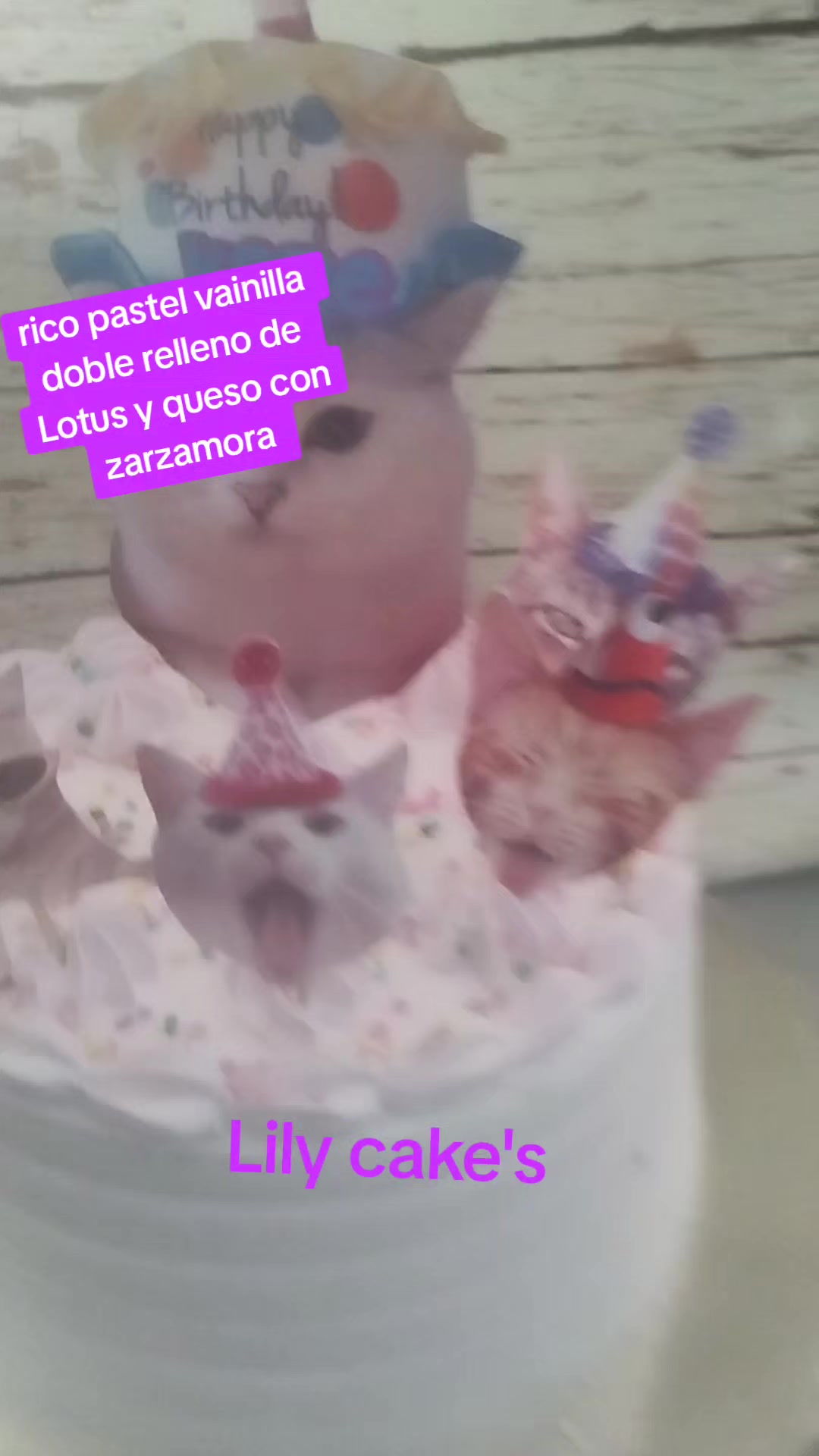 @lily cakes