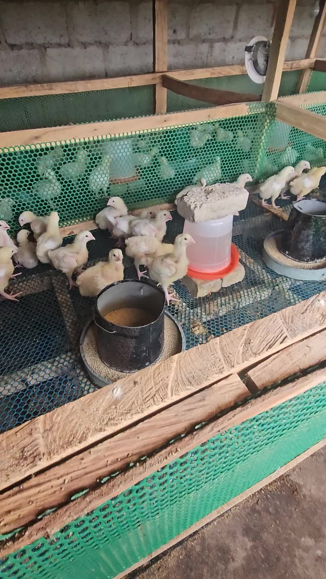 @thetri farms